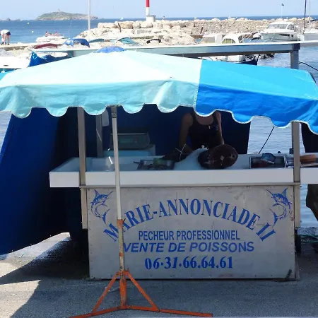 Διαμέρισμα Studio A Six Fours Les Plages A 50 M De La Plage Avec Vue Sur La Mer Et Piscine Partagee